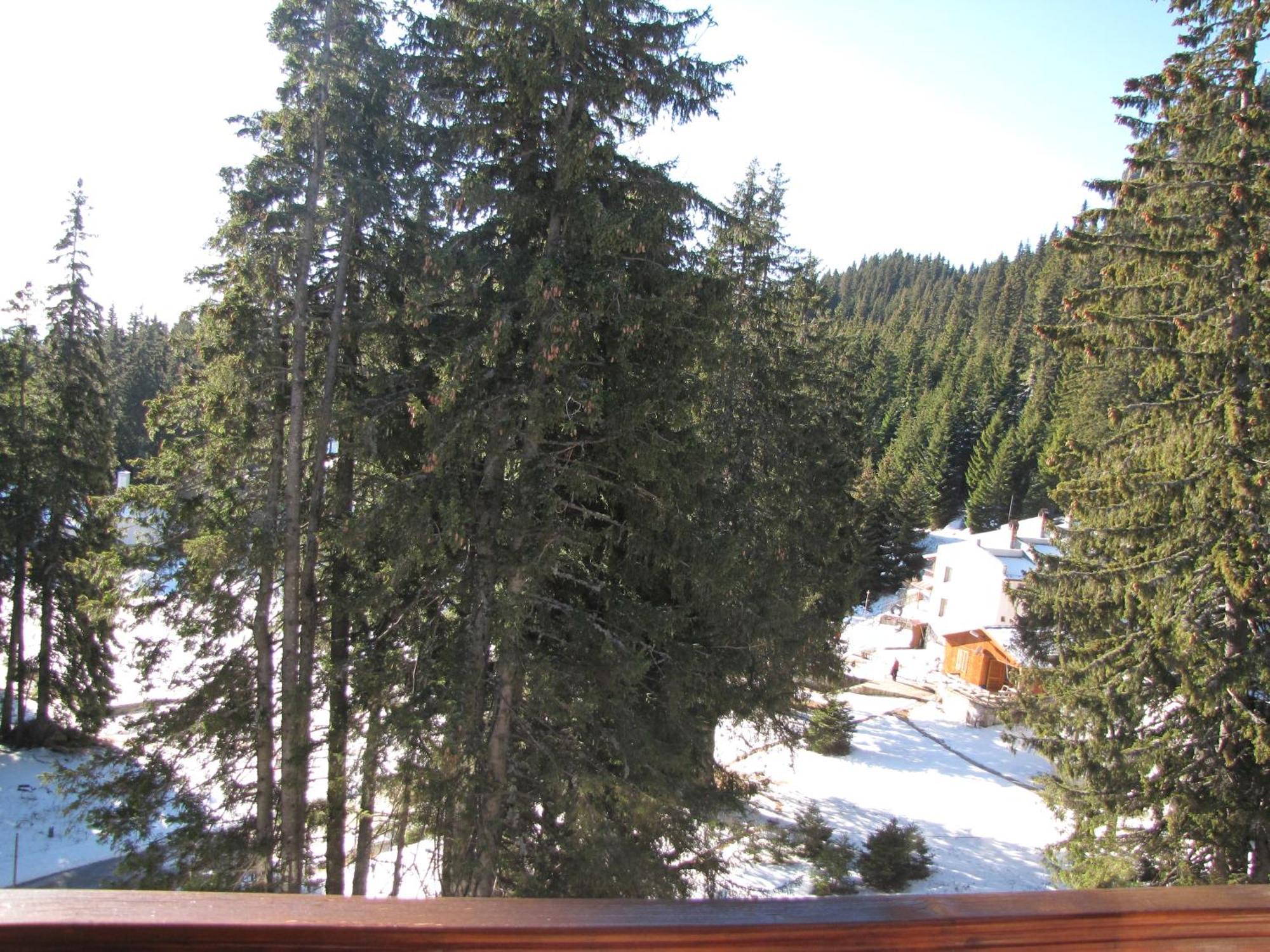 Aparthotel Pine Hills Pamporovo Extérieur photo