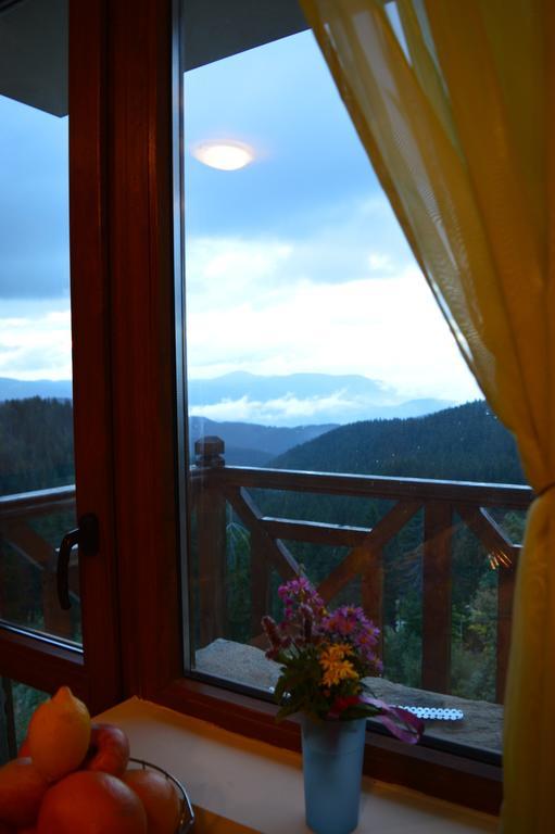 Aparthotel Pine Hills Pamporovo Extérieur photo